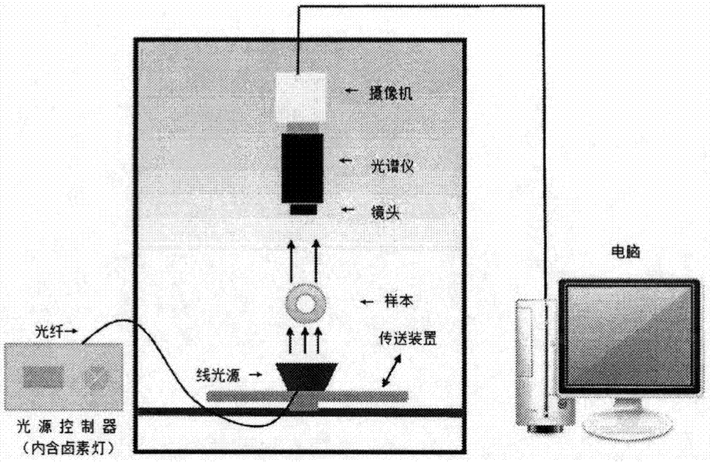 一种基于高光谱图像对白萝卜黑心检测的方法